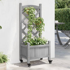 Gray fir wood planter with trellis and wheels holding green climbing plants outdoors.