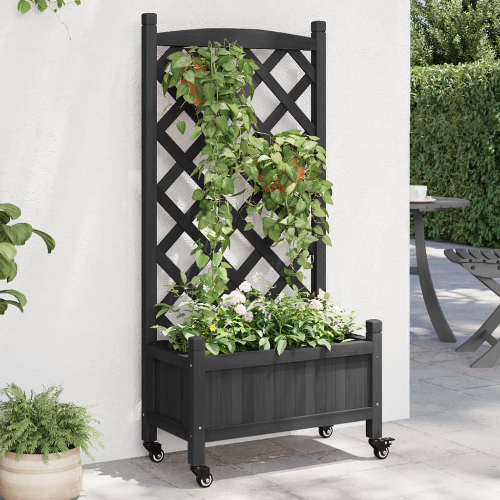 Black fir wood planter with trellis and wheels holding green climbing plants and flowers.