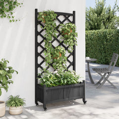 Black fir wood planter with integrated trellis, wheels, and climbing plants.