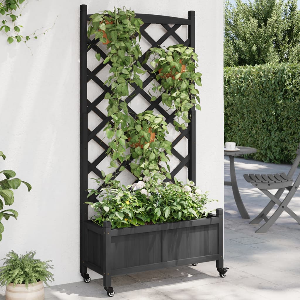 Black wooden fir planter with integrated trellis, wheels, and climbing plants.