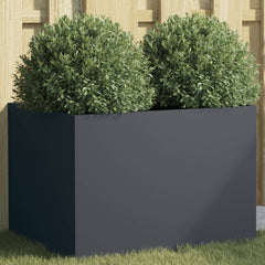 Planter Anthracite Cold-rolled steel Medium Decorative Inlays