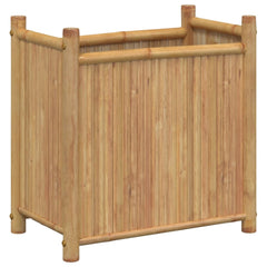Planter Natural Bamboo Bamboo Medium Decorative Inlays