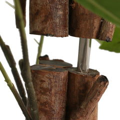 Artificial lemon tree with 3 green trunks, 70.9 inches tall, in nursery pot.