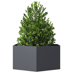 Garden Planter Anthracite Steel Large Decorative Inlays