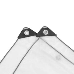 Plant Cover Transparent 9.84 x 9.84 ft PE