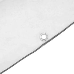 Plant Cover Transparent 9.84 x 9.84 ft PE