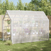 Plant Cover Transparent 9.84 x 9.84 ft PE