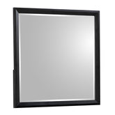 Neptune Traditional Style Mirror Made with Wood in Walnut(THIS ITEM INCLUDES MIRROR ONLY)