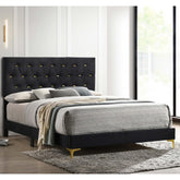 Eternity Black Upholstered Queen Panel Bed