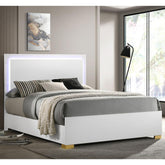 Treasury White Wood Queen LED Panel Bed