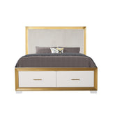 URANUS Contemporary Style Queen Tufted Bed Made with Wood & Gold Finish