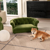 Apollo 36.5" Chesterfield Dog Sofa Bed, Medium, Olive Green Performance Velvet