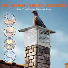 Stainless steel chimney cap with mesh, designed for easy installation and weather protection.