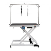 Bostome 50" electric pet grooming table with adjustable height and stainless steel construction.