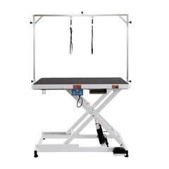 Bostome 50" electric pet grooming table with adjustable height and stainless steel construction.