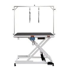 Bostome 50" electric pet grooming table with height adjustment and stainless steel construction.