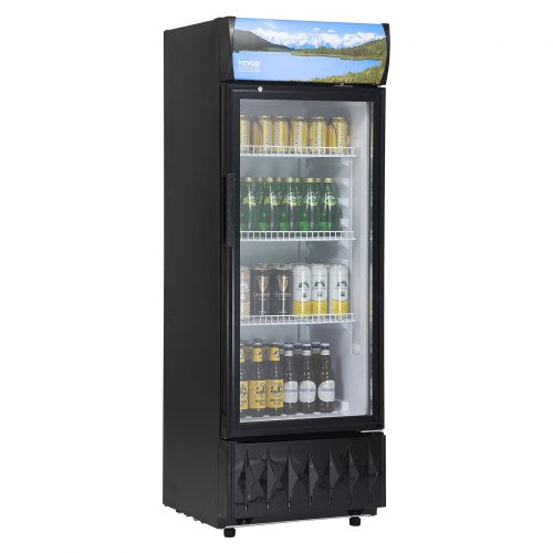 Bostome 6.8 Cu.Ft Commercial Beverage Refrigerator with glass door and adjustable shelves.