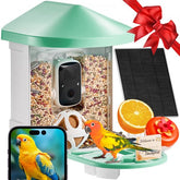 Smart bird feeder with 2K HD camera and AI species identification features.