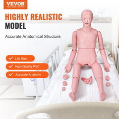 Life-size male nursing training manikin with realistic anatomy and flexible joints for procedures.