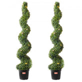 Two 5ft artificial boxwood topiary trees with realistic leaves in sturdy pots.