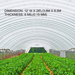 Greenhouse polyethylene film measuring 12x28 feet, 6 mil thick and UV resistant.