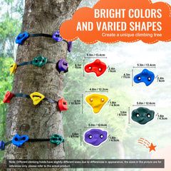 Bostome Ninja Tree Climbing Kit with 12 colorful holds and 6 adjustable straps for safe climbing.