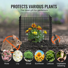 Black metal plant protector cage, 12"x12", designed for vegetable garden support.
