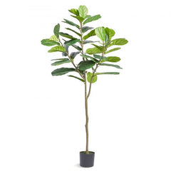 A 6-foot artificial fiddle leaf fig tree with lifelike green leaves in a black pot.