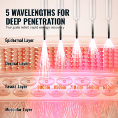 Diagram of 5 wavelengths (630-900nm) penetrating skin layers for deep therapy in a 2-in-1 red light wand.