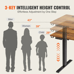 Height adjustable electric standing desk with a solid wood top and dual-beam metal frame.