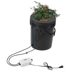 Bostome DWC Hydroponics Grow System kit with 5-gallon bucket and air pump for indoor gardening.
