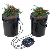 Two black 5-gallon buckets with red chili plants in a DWC hydroponics system, connected by blue tubes to an air pump.