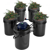 Bostome RDWC Hydroponics System with four 5-gallon buckets and an air pump for efficient growing.