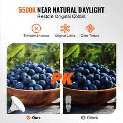 24x24in softbox lighting kit with 30W 5500K LED bulbs, adjustable stand, and comparison of blueberries under different lights.