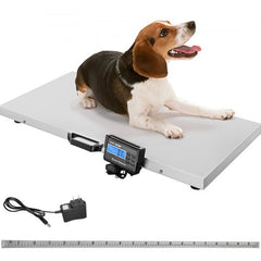 A beagle dog lying on a stainless steel platform of the Bostome 1100lbs digital livestock scale with LCD display.