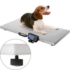 Stainless steel livestock scale with 40.6x20.9in platform and digital display, shown with a beagle on it.