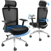 Bostome ergonomic office chair with mesh back, adjustable lumbar support, and slide seat.
