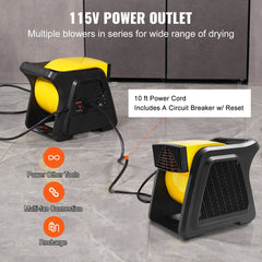 High-velocity floor blower with pivoting head and three adjustable speeds for effective airflow.