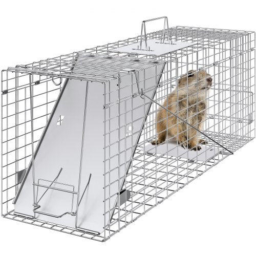 Humane live animal trap made of galvanized iron, measuring 31" with a folding design.