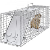 Humane live animal trap made of galvanized iron, measuring 31" with a folding design.