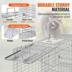 A 31-inch folding galvanized iron cage designed for humane animal trapping.