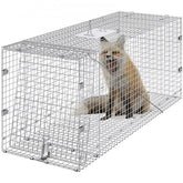 A galvanized iron live animal cage trap, 42x16x18 inches, folded with a fox inside.