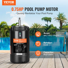 0.75 HP pool pump motor in 56J frame, black cylindrical housing with shaft, 115/230V dual voltage.