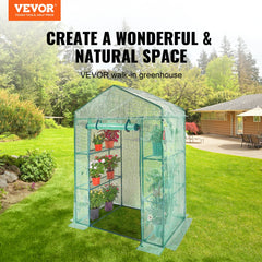 Walk-in greenhouse with four shelves, PE cover, and roll-up zipper door for ventilation.