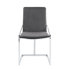 Aphrodite Gray Velvet & Chrome Finish Side Chair (Set of 2)