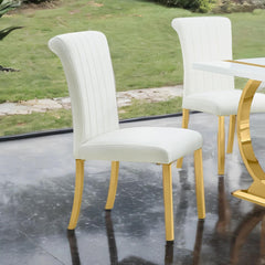 Contemporary Style 2pc Side Chair Channel Tufted Back Seat Stainless Steel O-Shaped Legs With Trestle Base Gold And White Finish