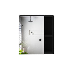 Chronicle Medicine Cabinet With Mirror, Five Internal Shelves, Single Door -Black