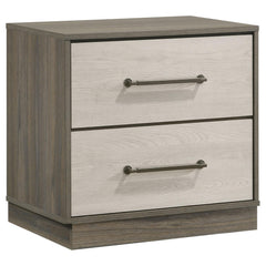 Revelation Grey Oak 2-drawer Nightstand