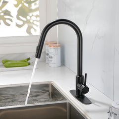 Single Handle High Arc Pull Out Kitchen Faucet,Single Level Stainless Steel Kitchen Sink Faucets with Pull Down Sprayer