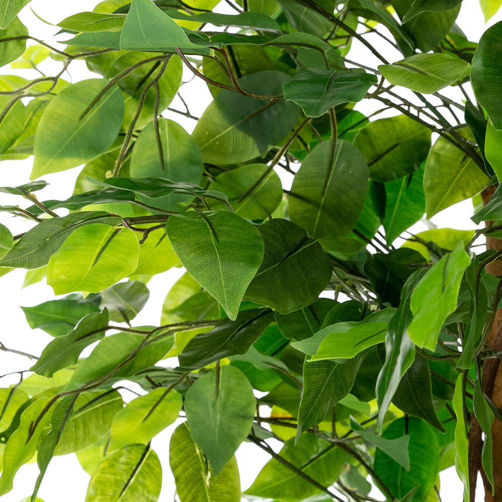 A 6-foot artificial banyan tree with a solid wood trunk and 1260 green leaves.